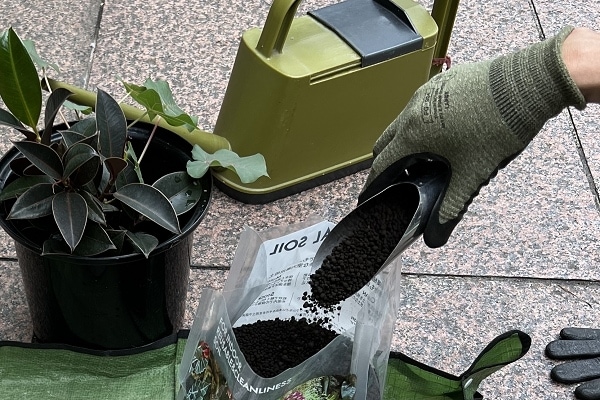 ���������������